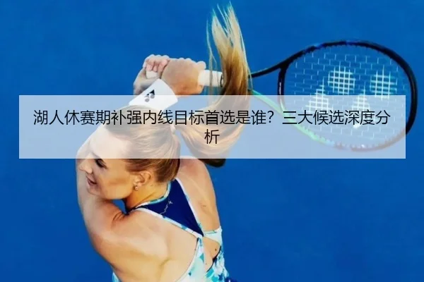 湖人休赛期补强内线目标首选是谁？三大候选深度分析